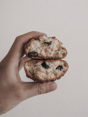cranberry scone
